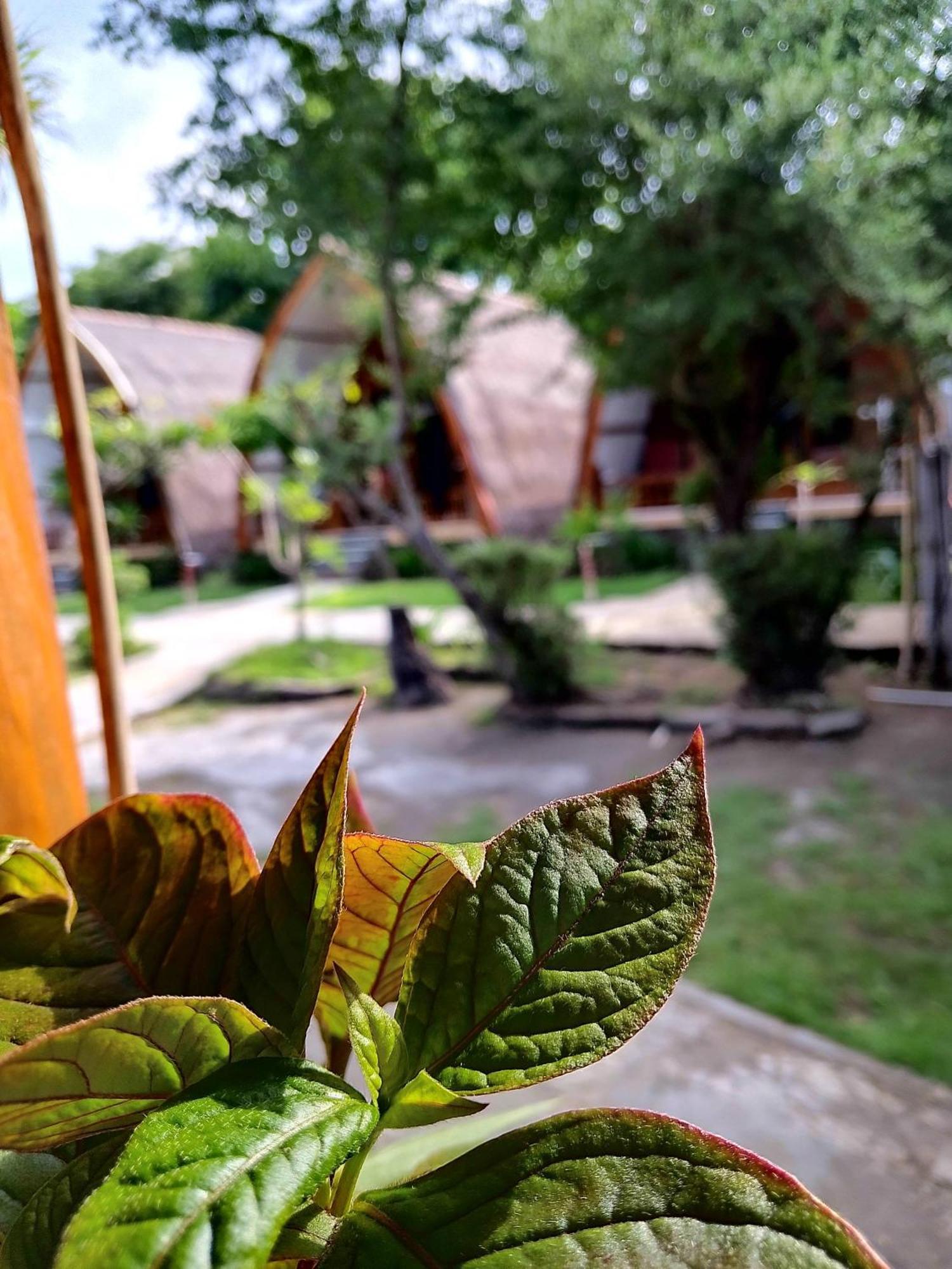 We'Be Cottages Gili Meno Kültér fotó